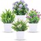 4 Pack Mini Artificial Flower Plants in Pots – Small Faux Spring Plants for Mother’s Day Card Making, Farmhouse Desk Decor, Home & Office Decoration